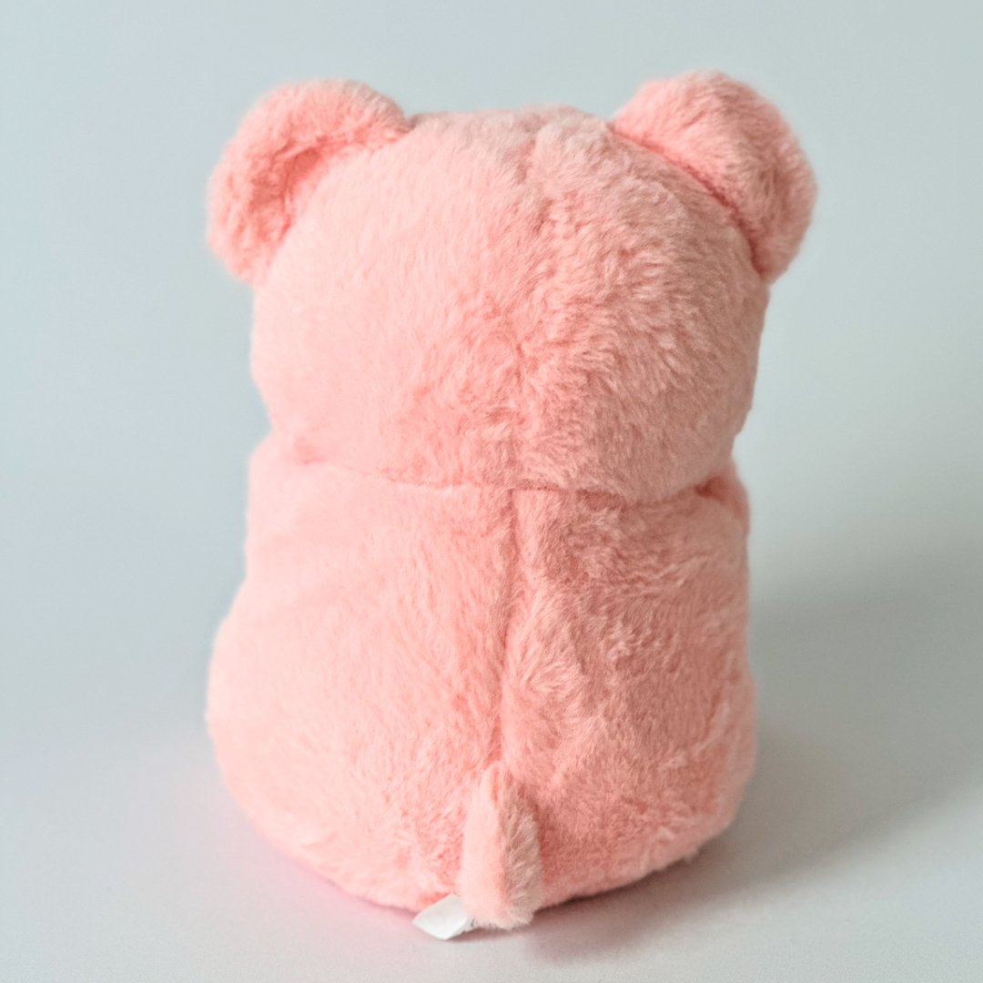 Pink Plush Teddy Bear - NYC Bouquet Delivery