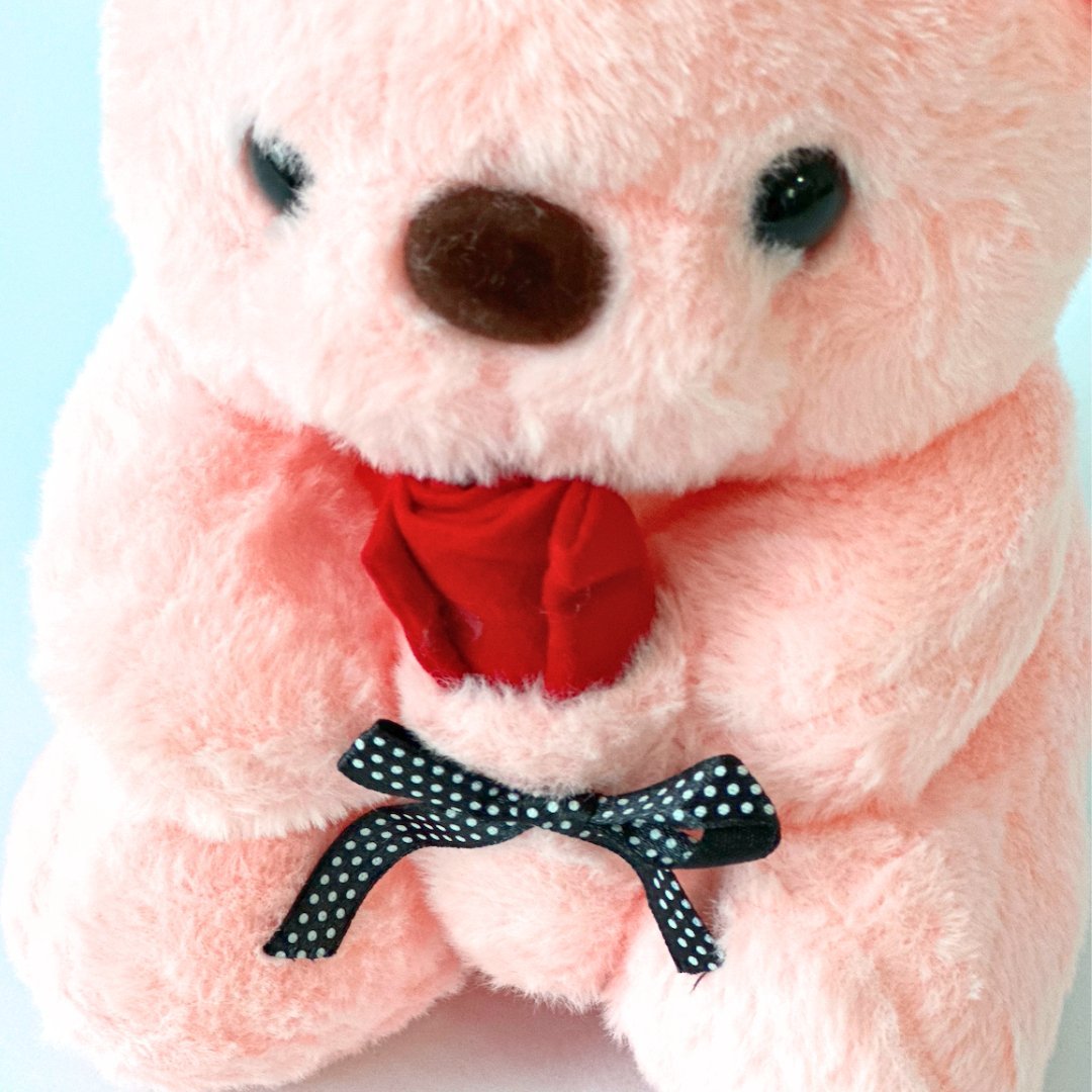 Pink Plush Teddy Bear - NYC Bouquet Delivery
