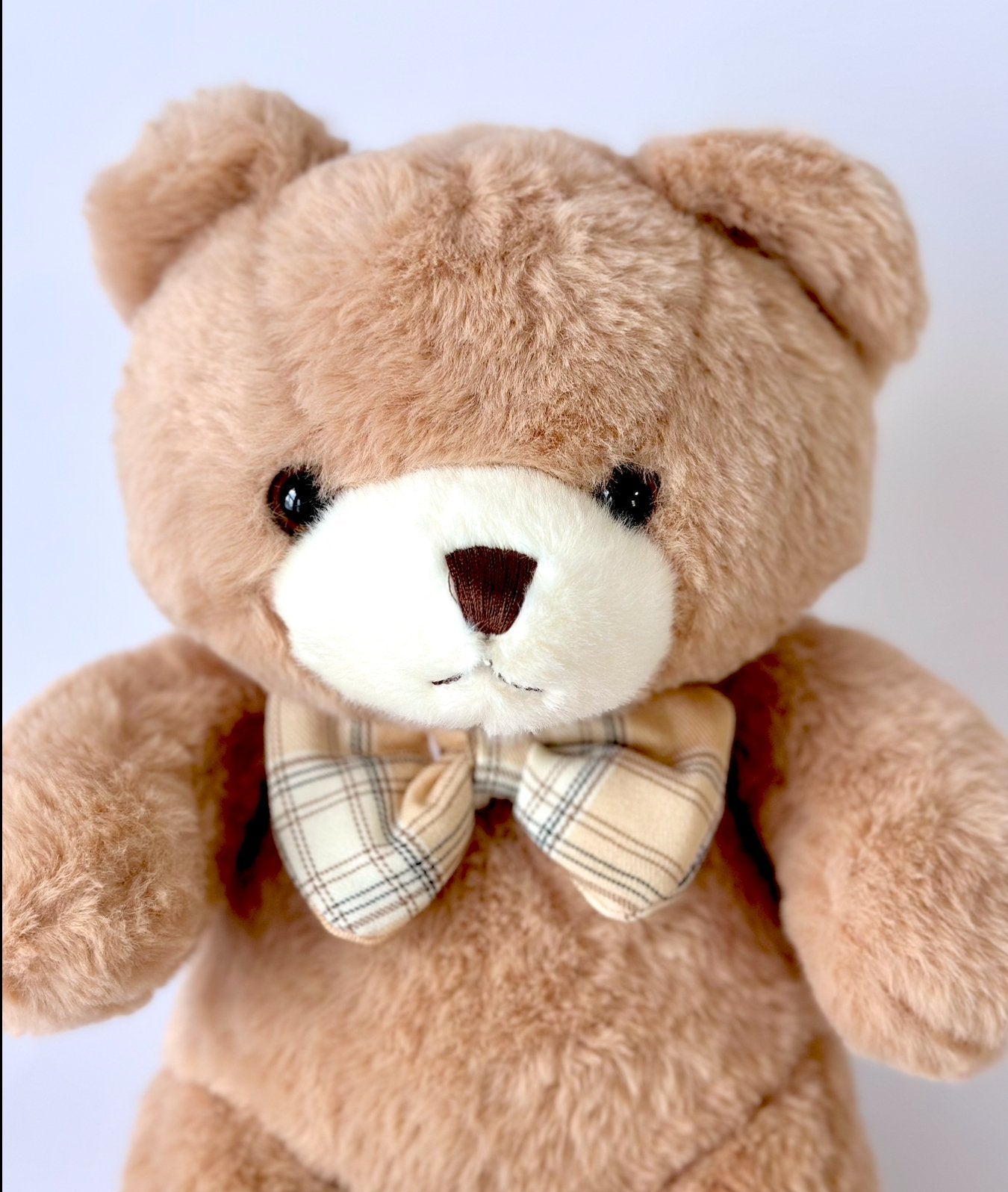 Classic Teddy Bear - NYC Bouquet Delivery