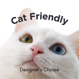 Cat-Friendly Designer’s Choice Flowers
