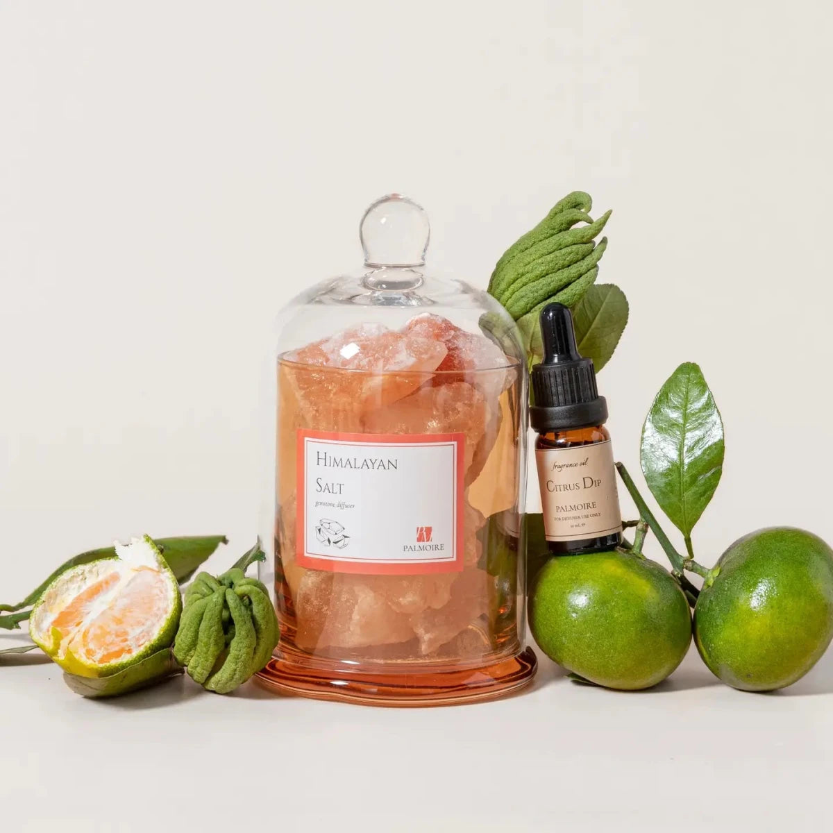 Stone Aroma Diffuser – 5 Signature Luxury Scents - KKOT Floral Studio | Jersey City Florist & Same - Day Delivery