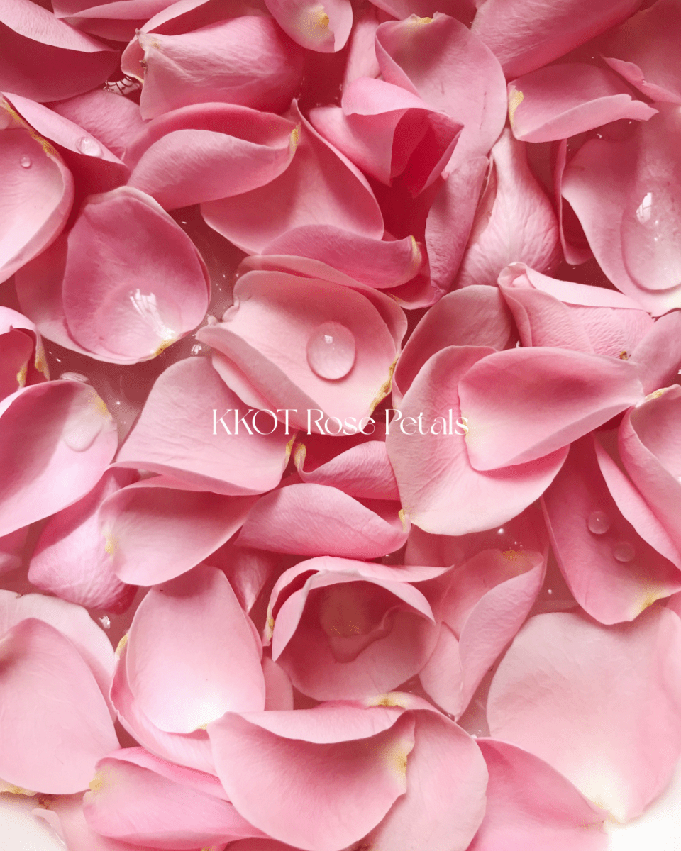 Love Me Rose Petals - KKOT Floral Studio | Jersey City Florist & Same - Day Delivery
