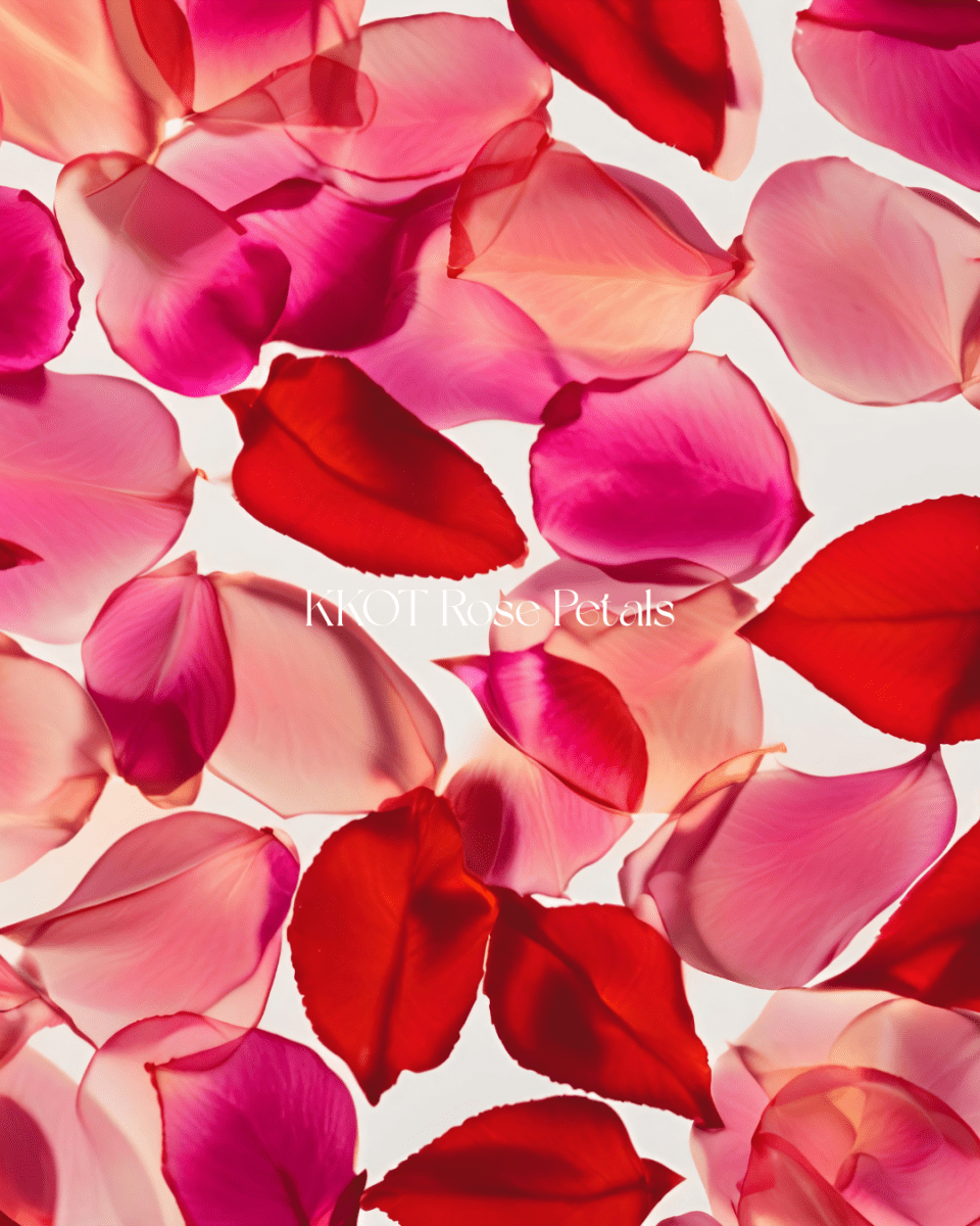 Love Me Rose Petals - KKOT Floral Studio | Jersey City Florist & Same - Day Delivery