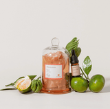 Petite Bloom Bud Vase Set - KKOT Floral Studio | Jersey City Florist & Same - Day Delivery